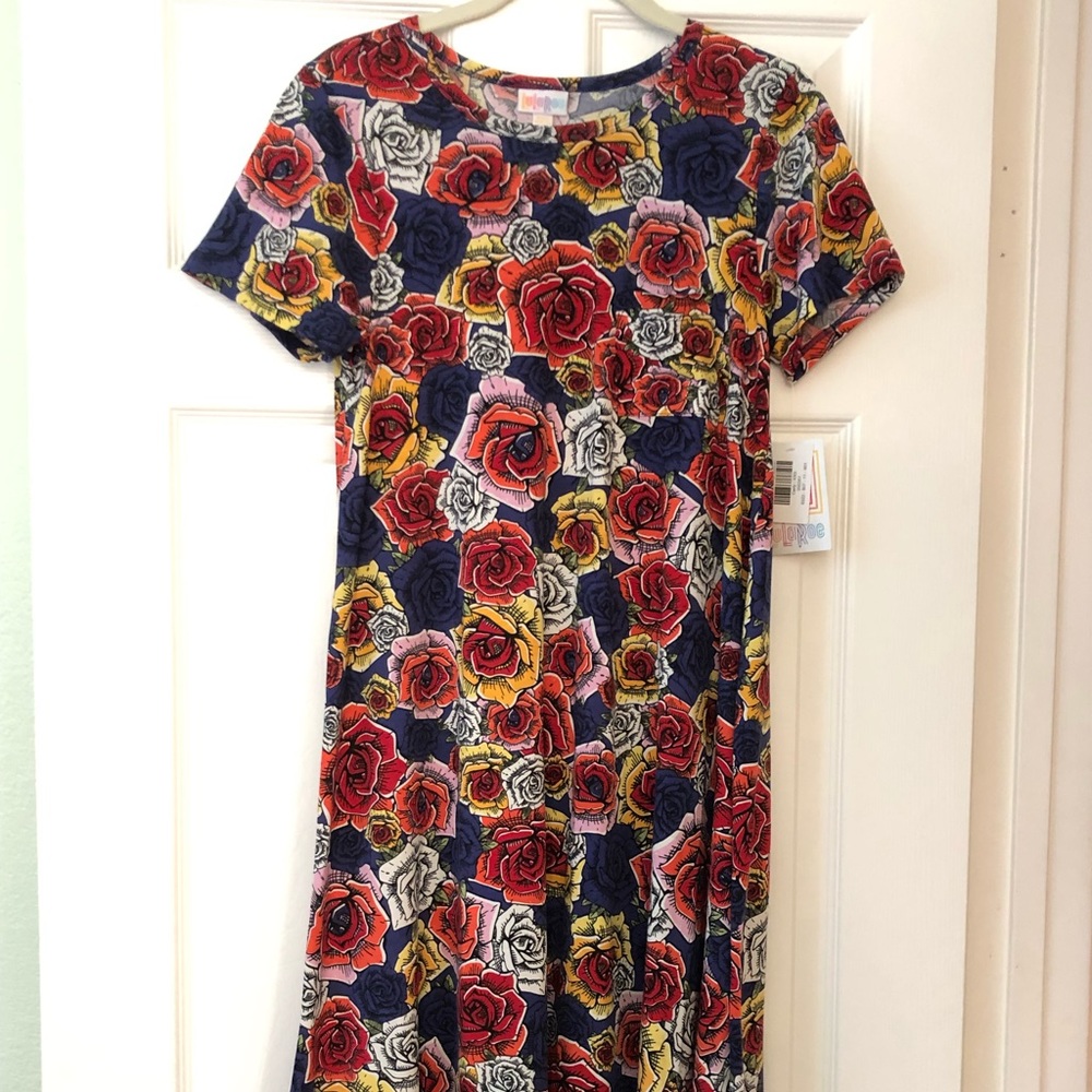Lularoe Floral print Xxs carly